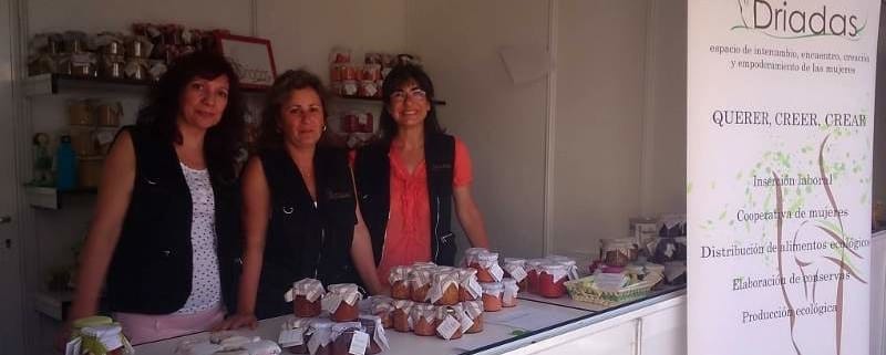 red economía social feminista