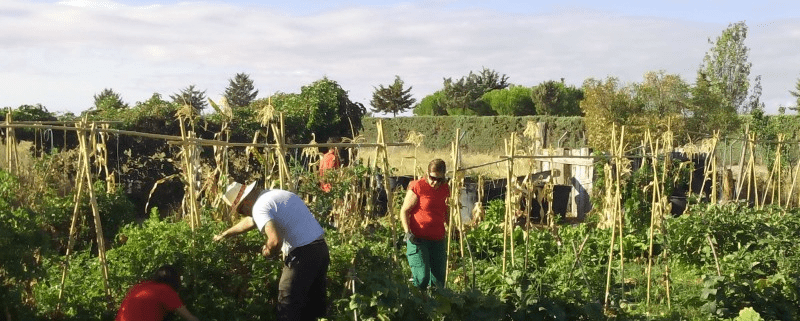 sector agroeologico