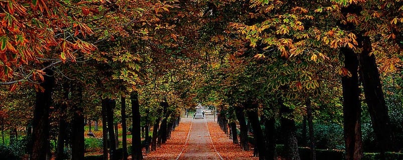 Un paseo virtual por el Retiro gracias a una app 4 app retiro