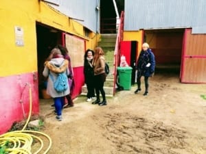 paseo enraizadas cuatro