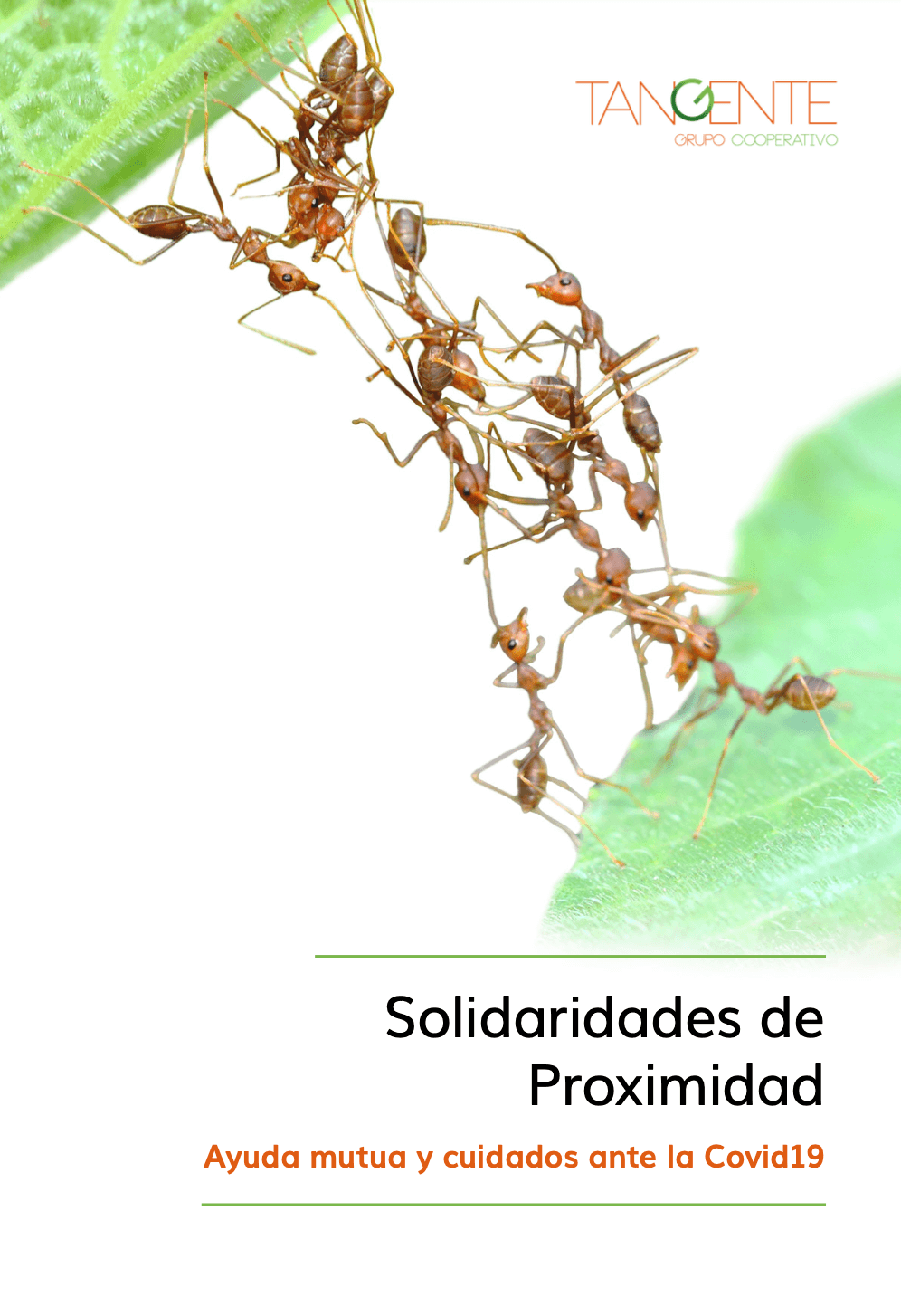 Solidaridades de