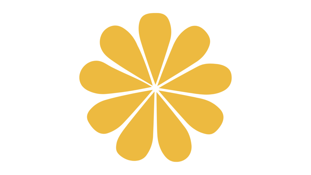 Programa Estatal de fortalecimiento de la cohesión participación y comunicación del movimiento asociativo de Salud Mental España.