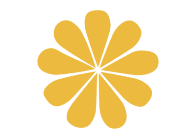 Programa Estatal de fortalecimiento de la cohesión participación y comunicación del movimiento asociativo de Salud Mental España.