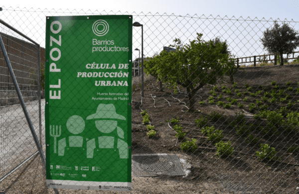 Finca formativa ElPozo
