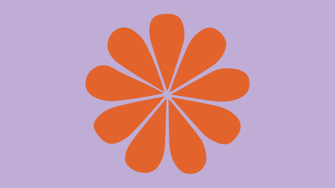 Formación acreditación punto violeta COCEMFE