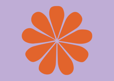 Formación acreditación punto violeta COCEMFE