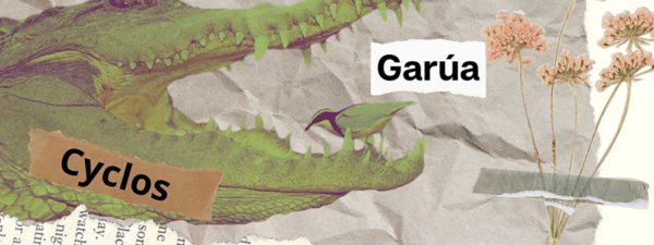 somossimbiosis garua 600x225 1