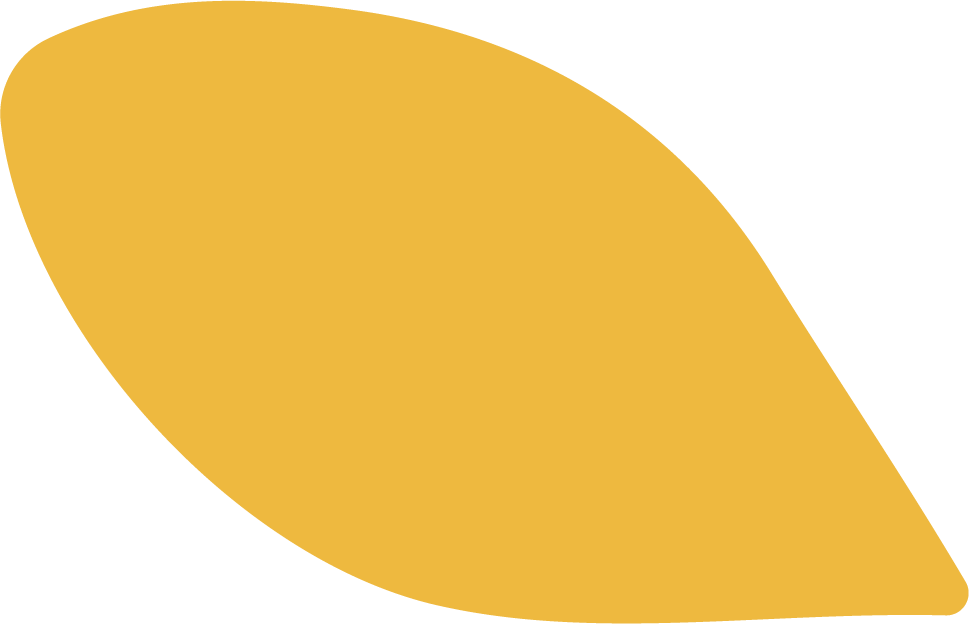 Quiénes somos 17 PETALO 03 AMARILLO RGB