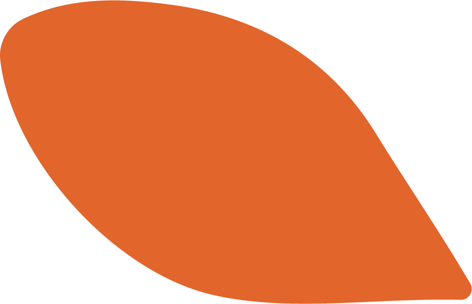 Quiénes somos 15 PETALO 03 NARANJA RGB