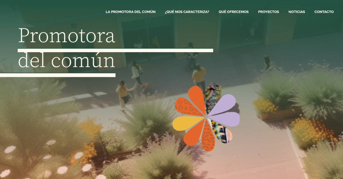 ¡Estrenamos la web de la Promotora del Común! 2 Web promotora del comun